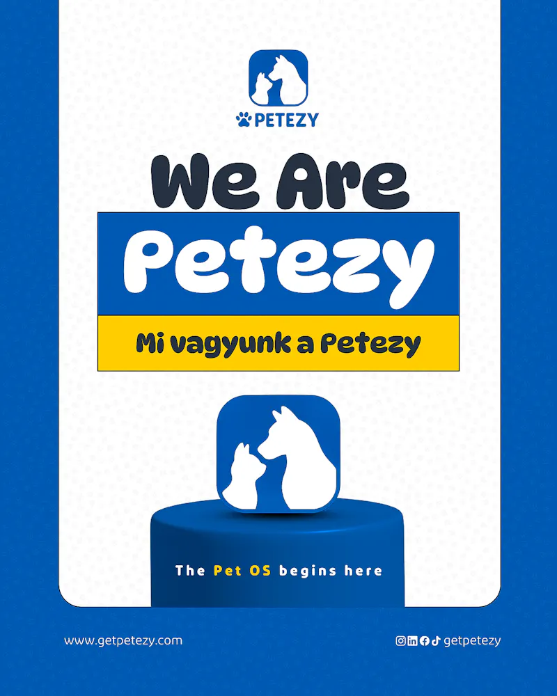 Petezy screenshot 2