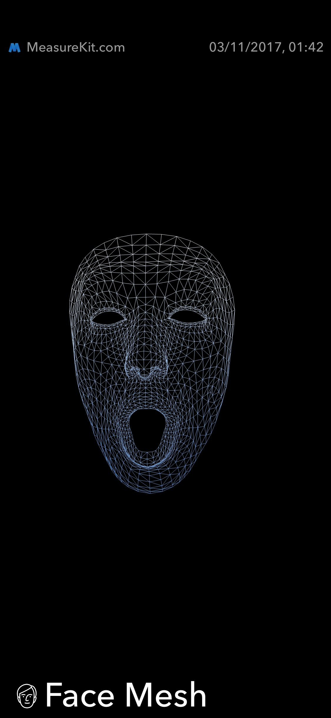 Face Mesh in AR MeasureKit gallery image