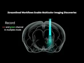 Neurotransmitter Imaging gallery image