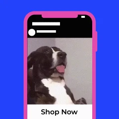 Pivads