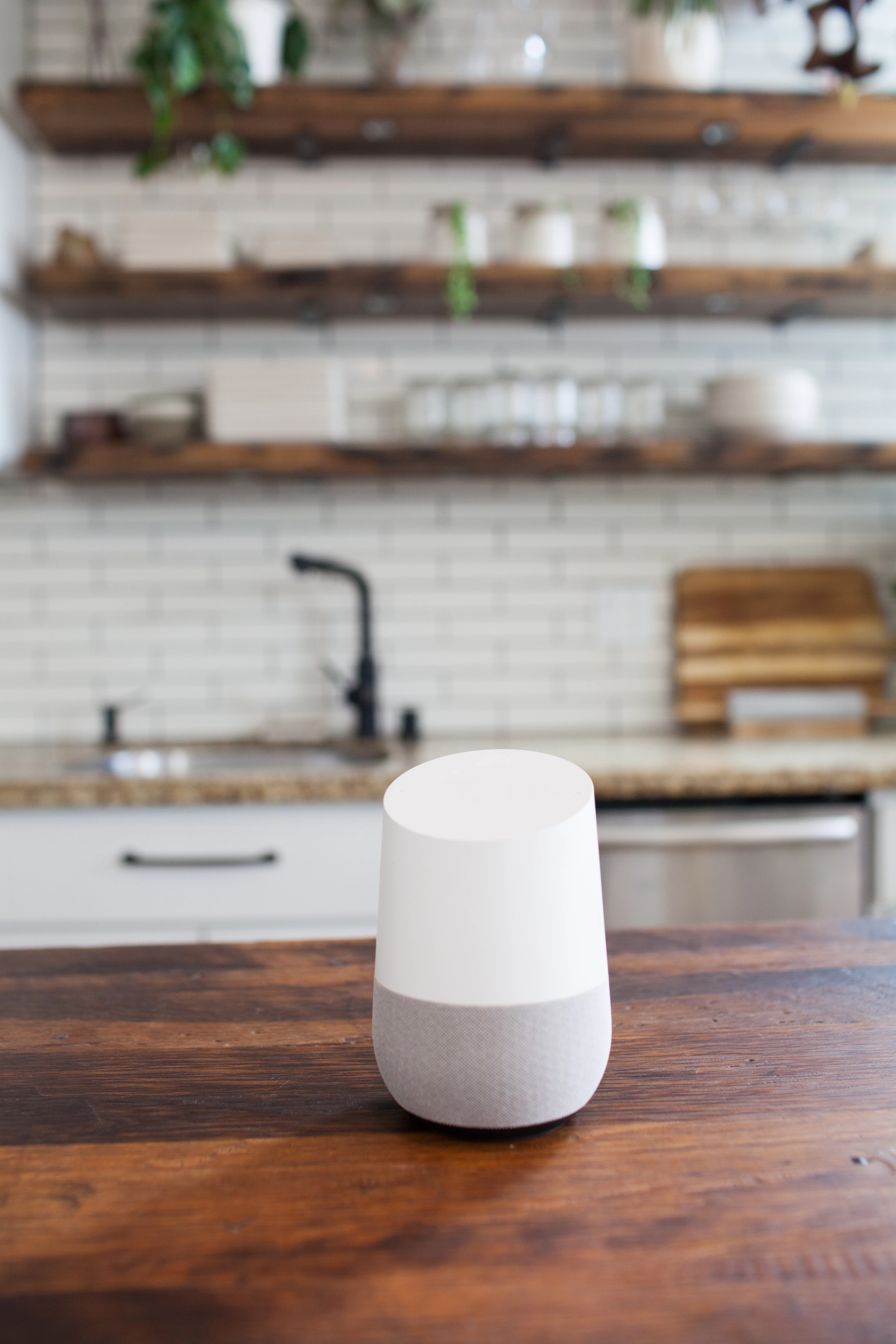 Expedia for Google Assistant