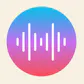 Audio Data