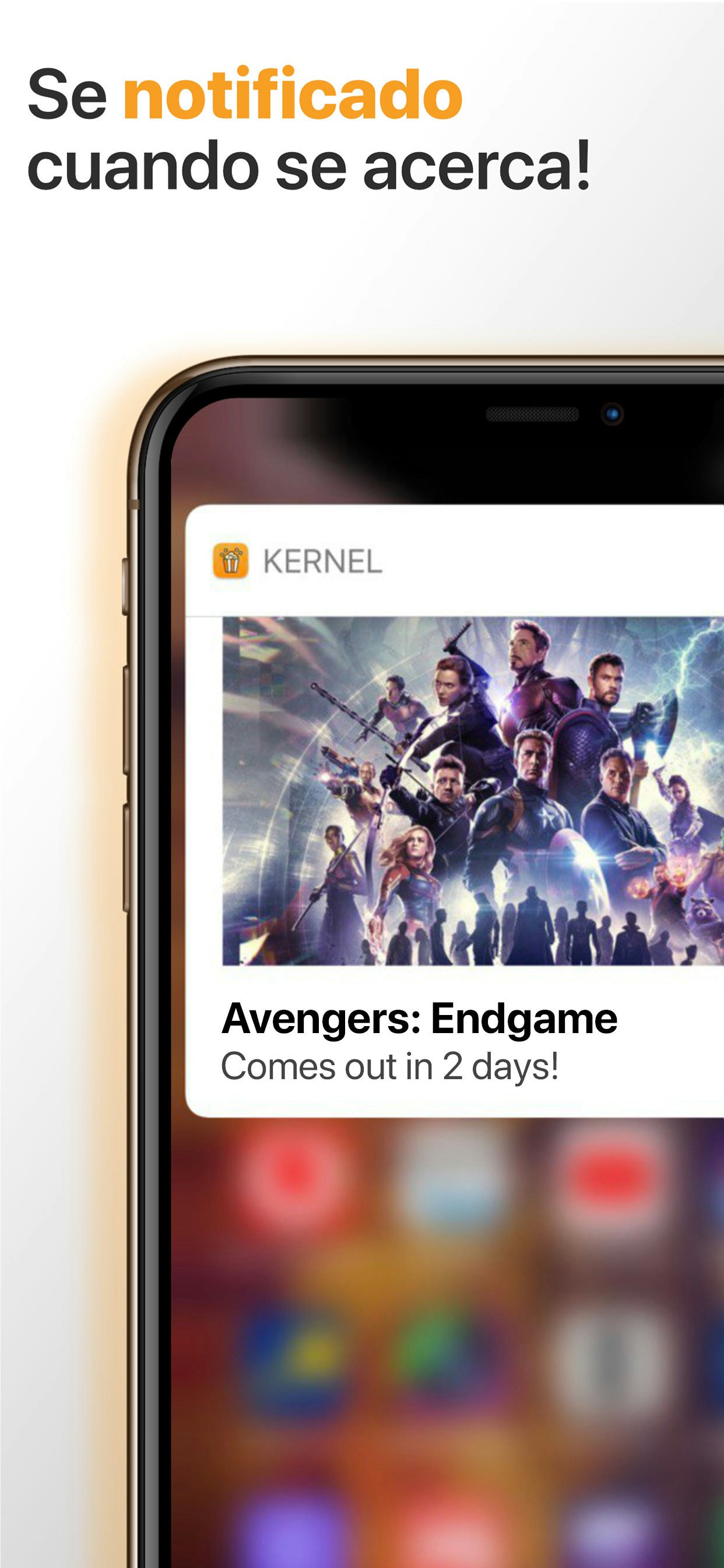 Kernel gallery image