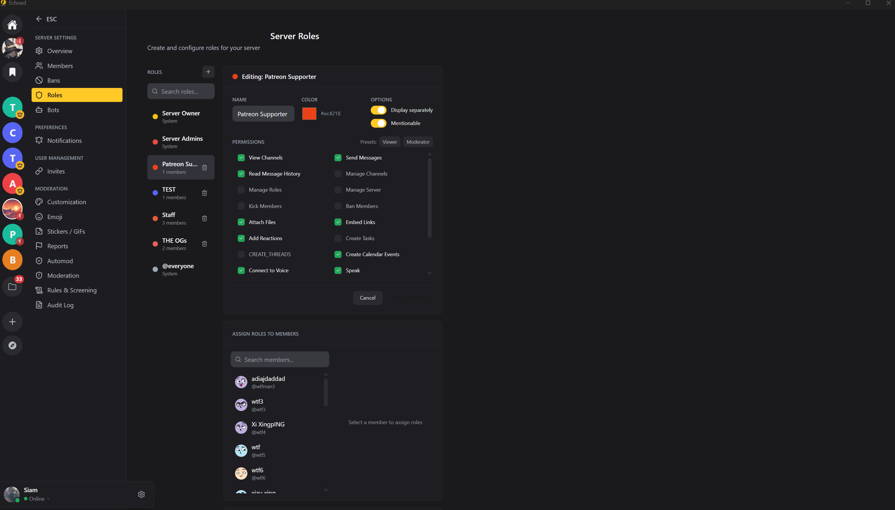 Echoed gallery image