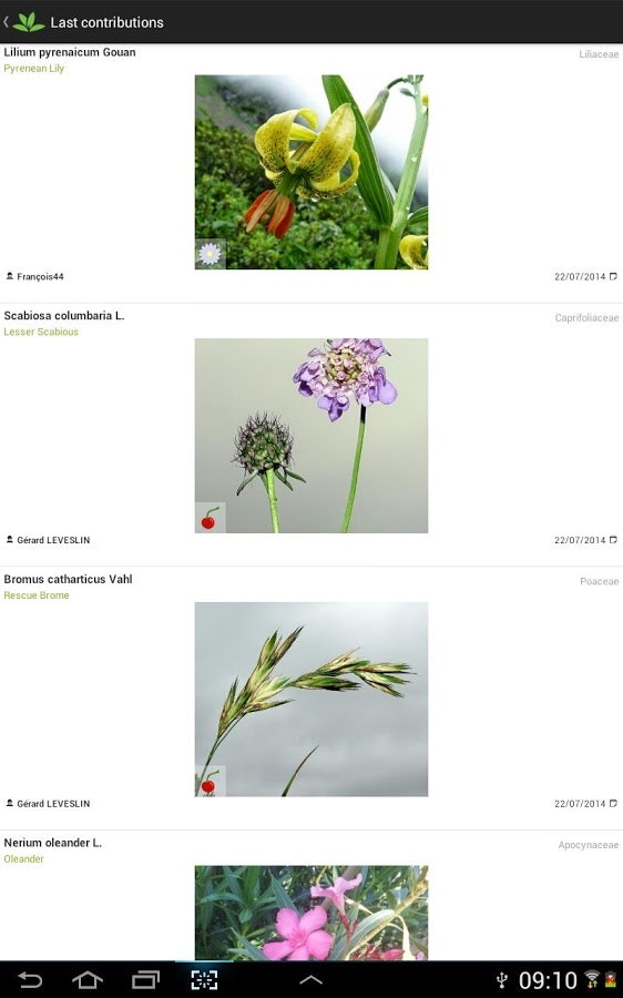 PlantNet gallery image