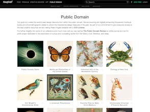 rawpixel gallery image