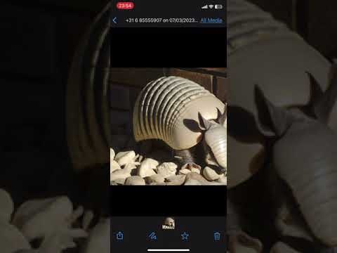 KnowBuddy.AI gallery image