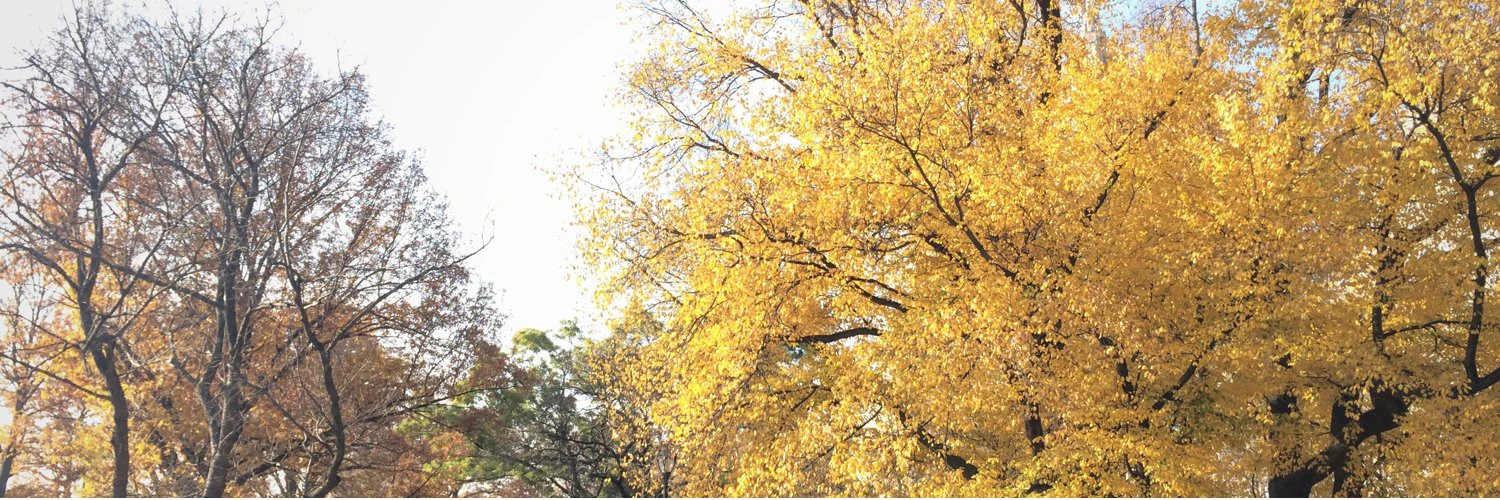 Alden Marshall cover