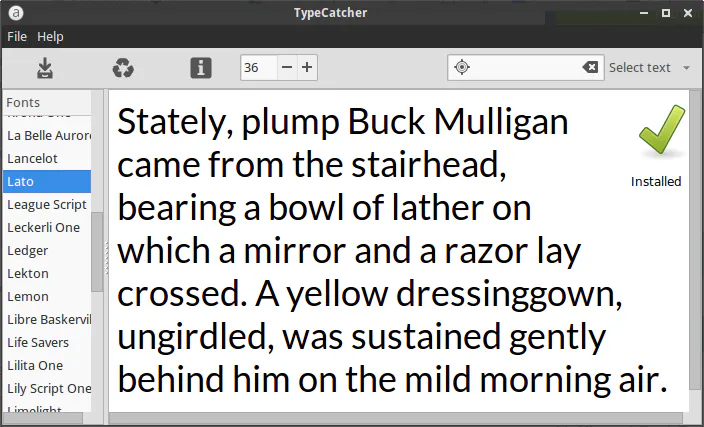 TypeCatcher