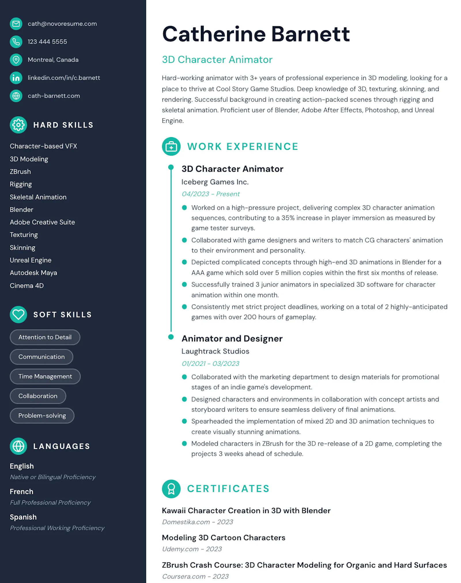 Free Online Resume Builder — iLuvRESUME screenshot 20