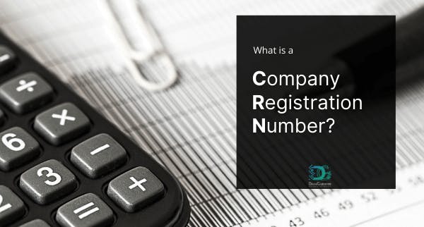 What is a Company Registration Number media 1
