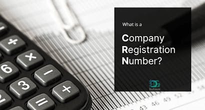 What is a Company Registration Number gallery image