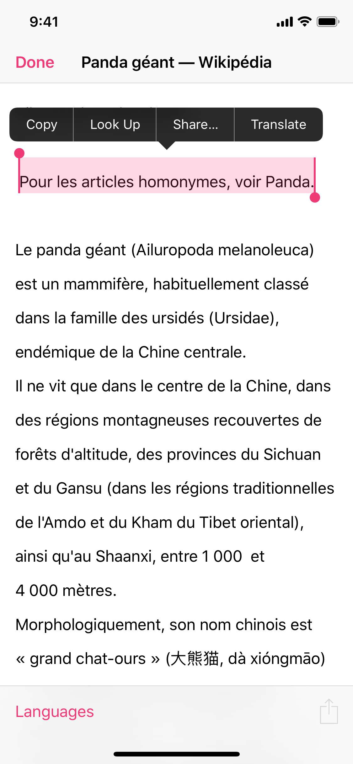 Babelgum Translator gallery image