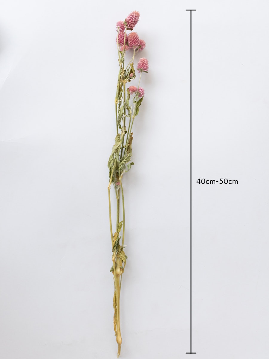 Globosa Flower - Blush roze media 3