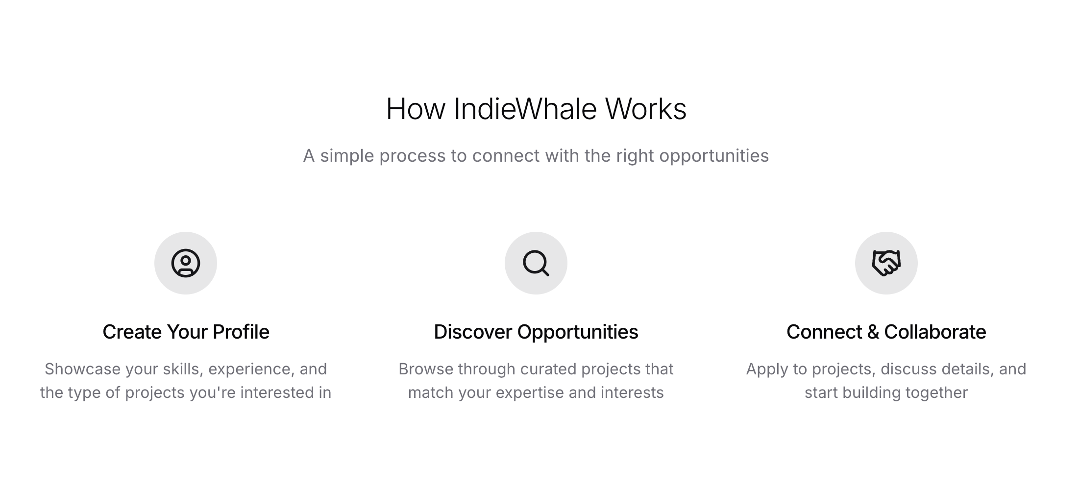 IndieWhale gallery image