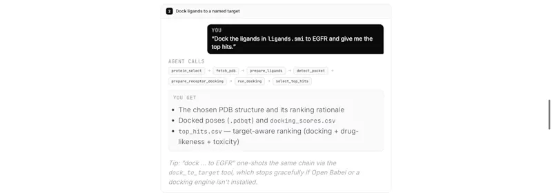 SciAgentKit screenshot 11