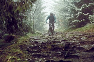 COBI.bike gallery image