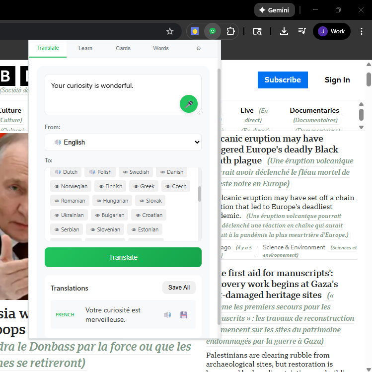 LinguaLearn gallery image