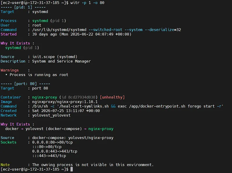 witr screenshot 6