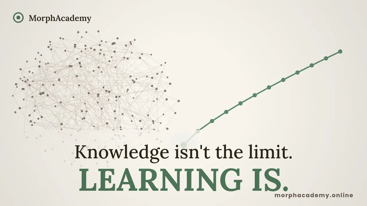 Morphacademy.online gallery image