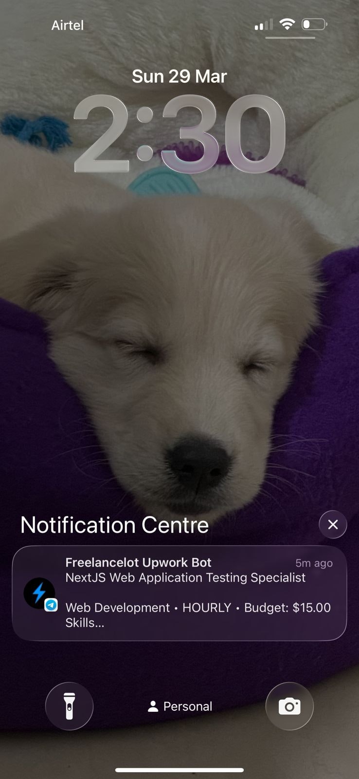 Freelancelot gallery image