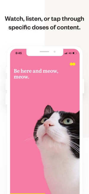 Moodrise gallery image