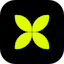 Nkwazi