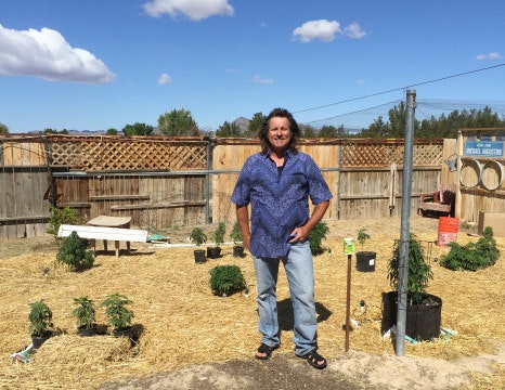 Reveal - Pumped on Trump gallery image