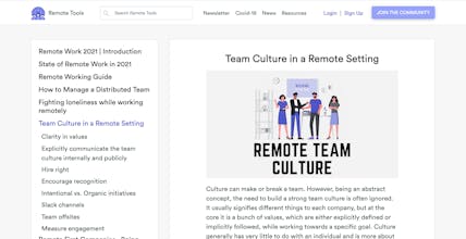 Remote Work 2021 gallery image