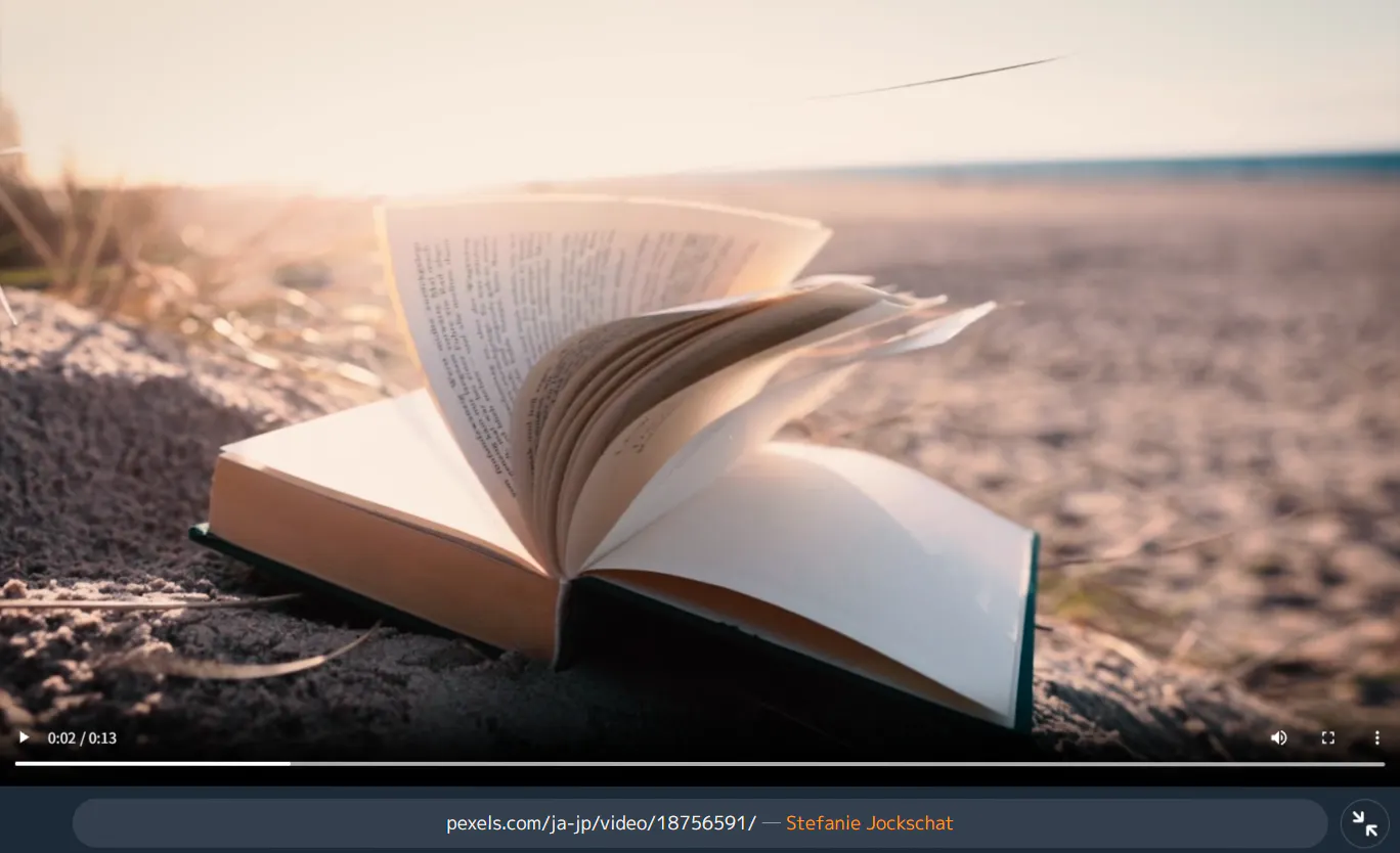 Ambient Media Player gallery image