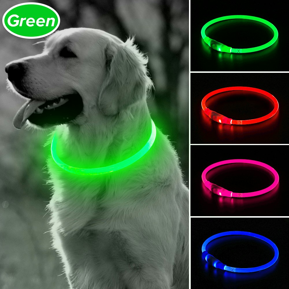 BSEEN LED DOG COLLAR- BE SEEN& BE SAFE!