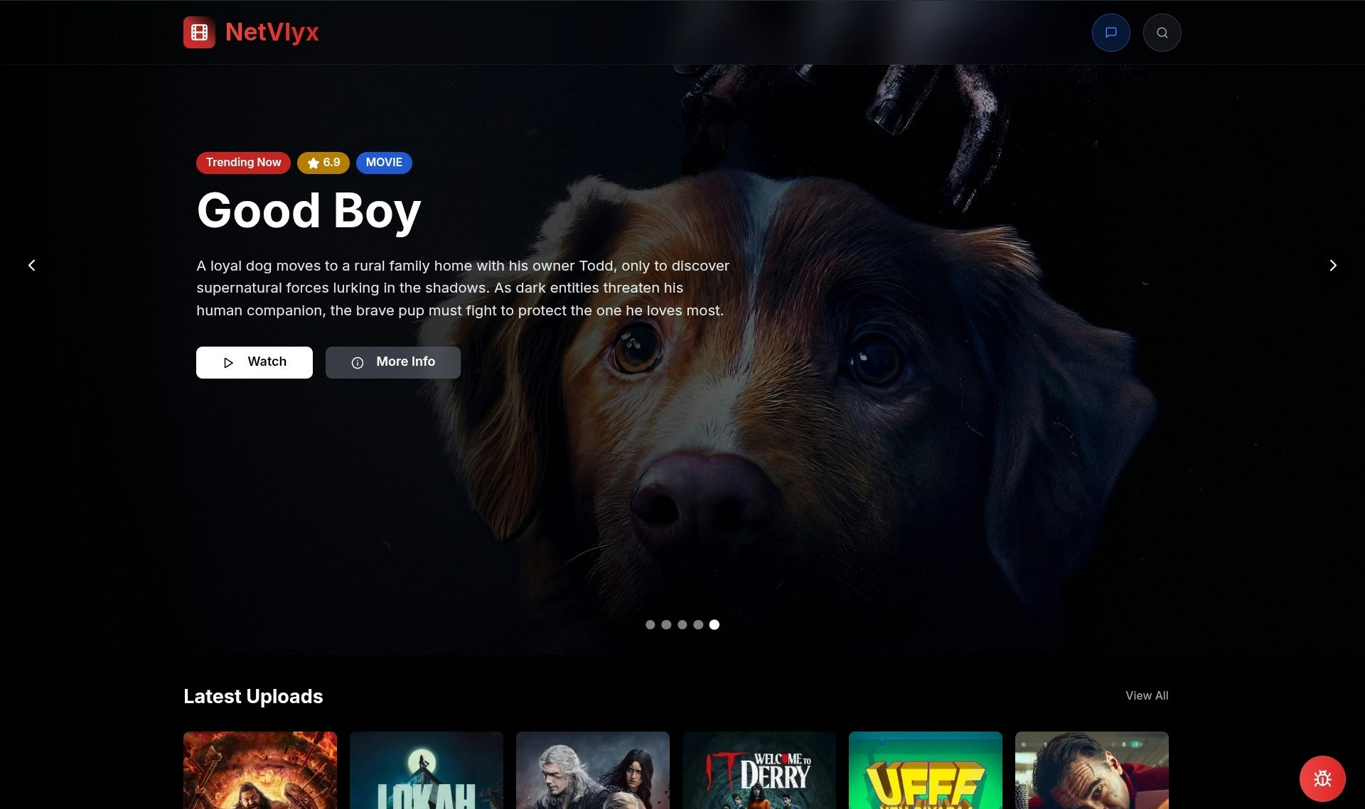 Netvlyx gallery image