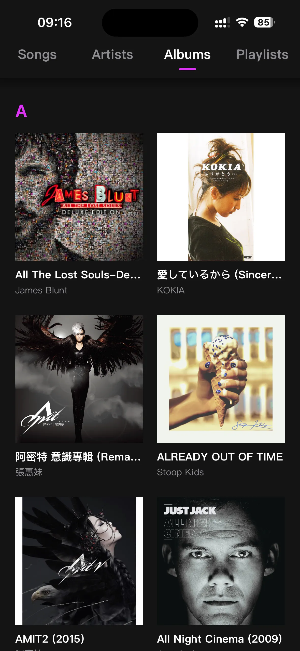 Xtunes-Local Music Player gallery image