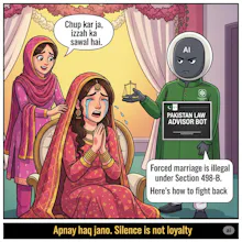 Pakistan Law Adviser gallery image