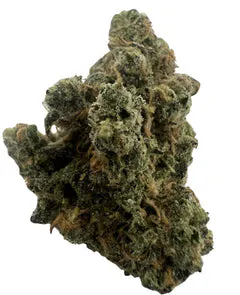 Supreme Dream Drop - 5 Minute Weed DC gallery image