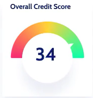 Business Credit Reporting