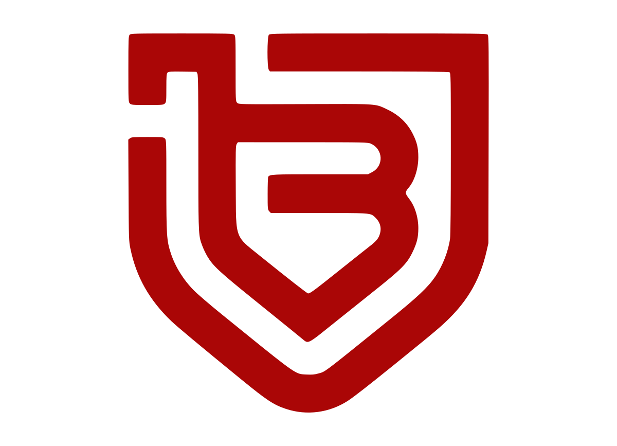 BASTYN logo
