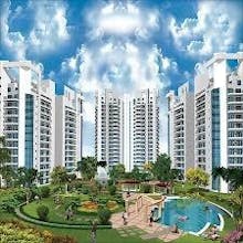 flats in noida gallery image