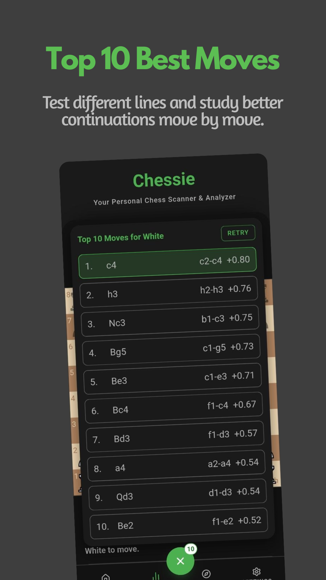 Chessie gallery image