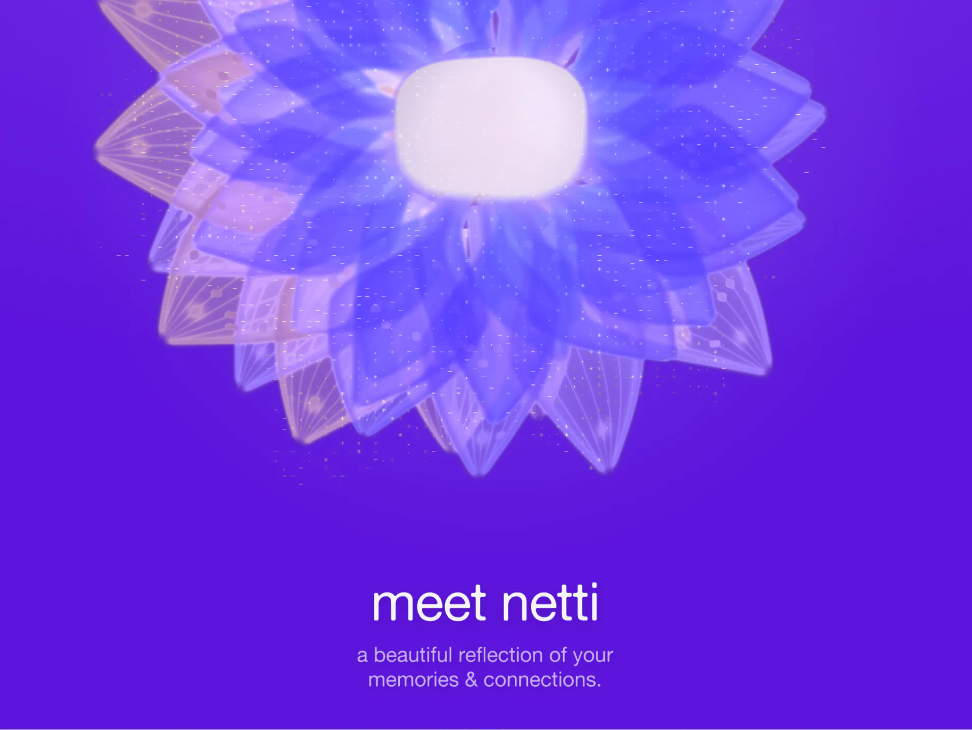 innernet gallery image