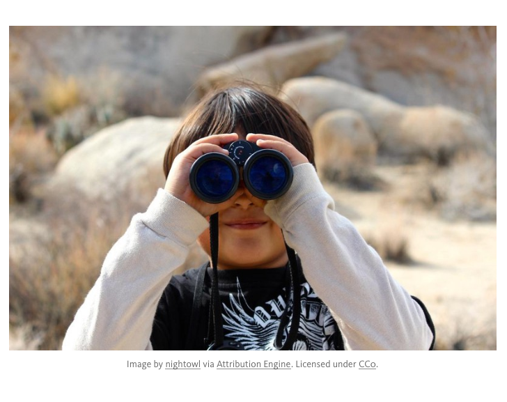 Mediachain Attribution Engine gallery image