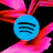 Spotify Wrapped 2024