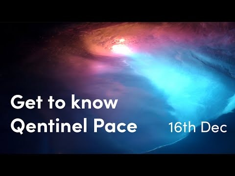 Qentinel Pace gallery image