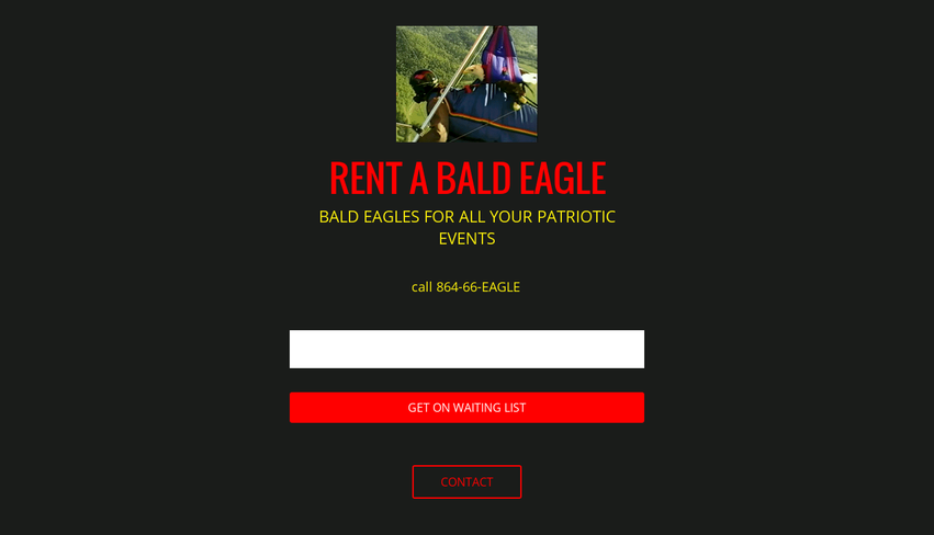 Rent a Bald Eagle gallery image