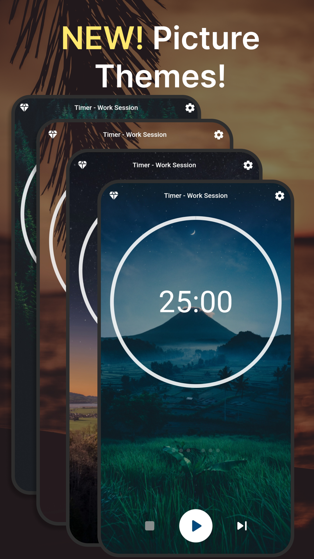 Focus Dojo gallery image