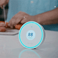 Wynd Halo + Home Purifier