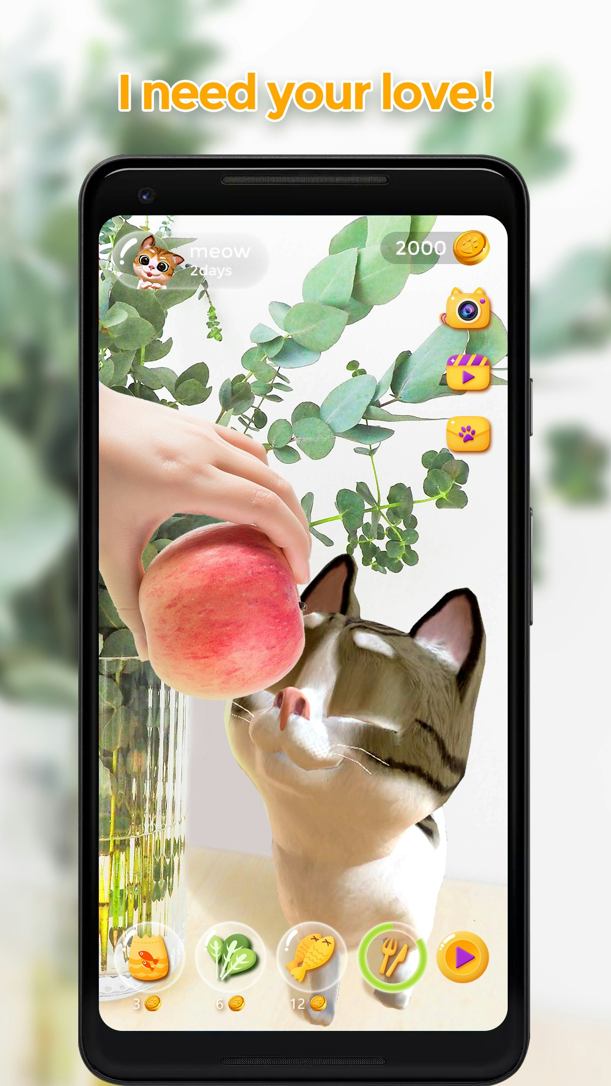 Meow - AR Cat Image