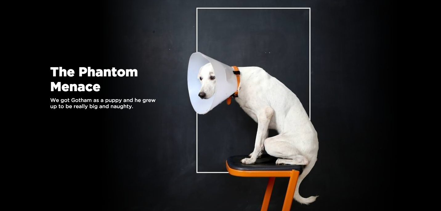 Beard Design: Year in Review 2015 gallery image