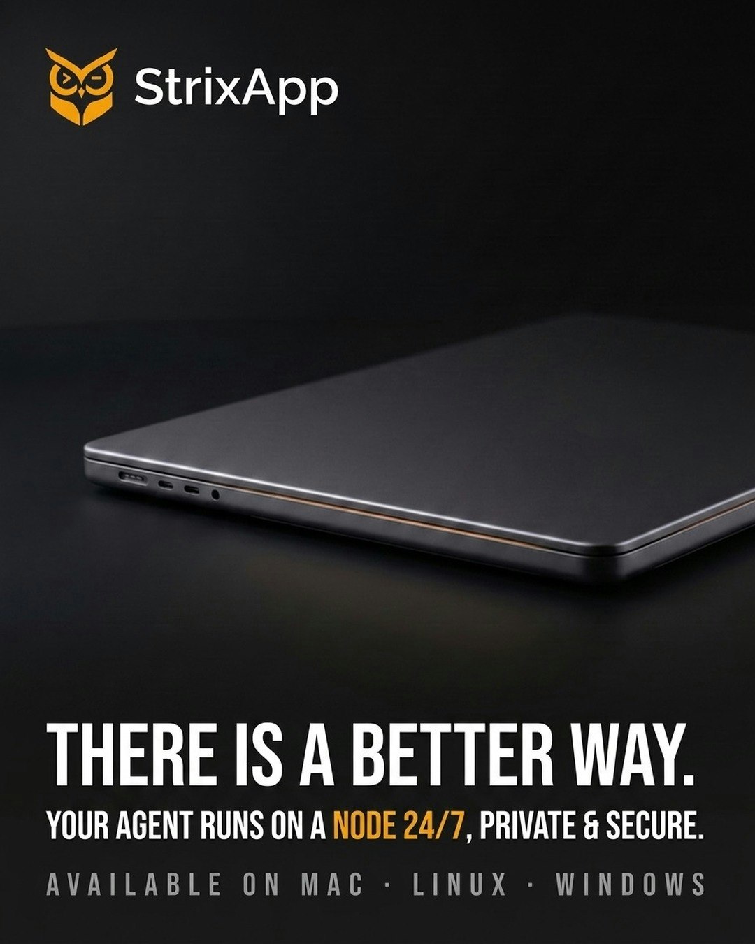 StrixApp gallery image
