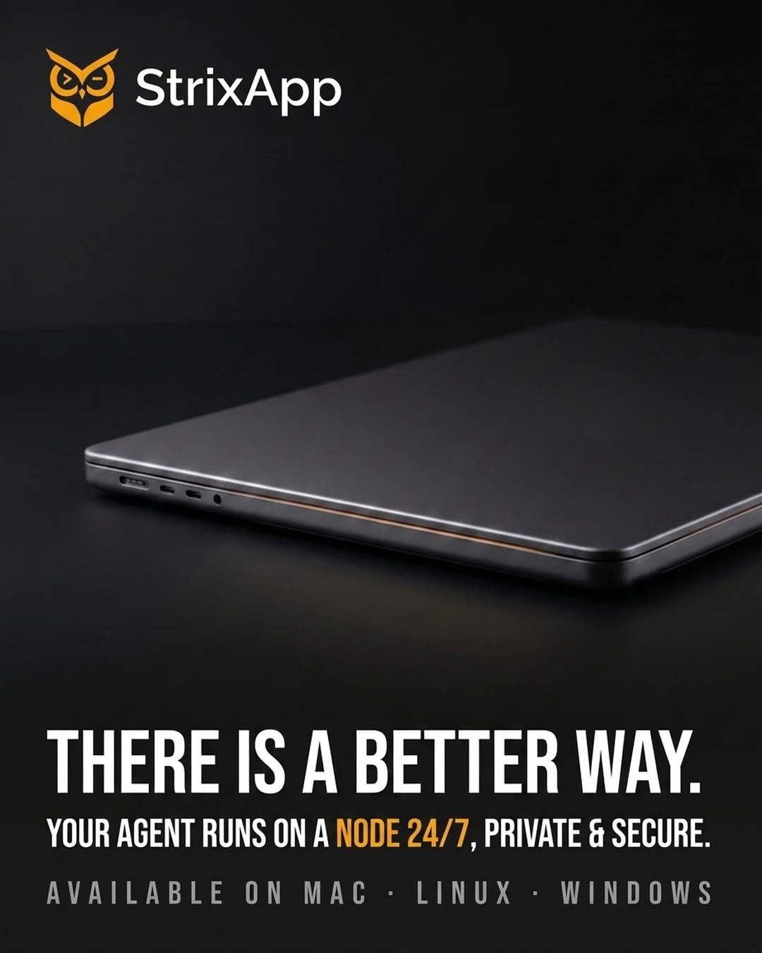 StrixApp 截图 2